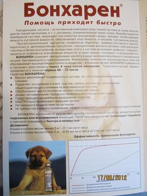 бонхарен2.jpg