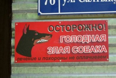 злая собака.jpg