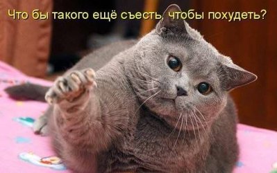 диета.jpg