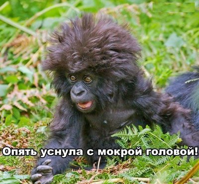 уснула.jpg