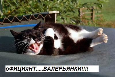 НЮ.jpg