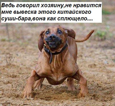 ПОГРЕЮСЬ.jpg