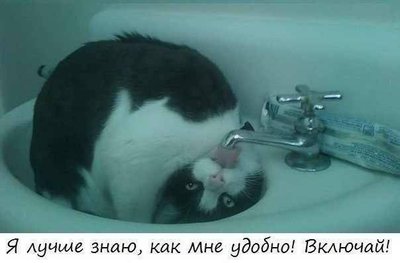 сам знаю.jpg