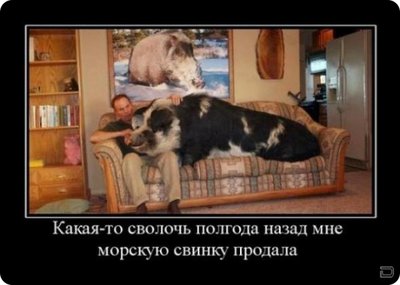подарочек.jpg