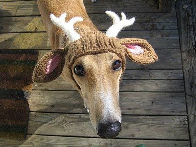 getImageCAHZW1VI.jpg