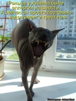 l-5xypctObo.jpg