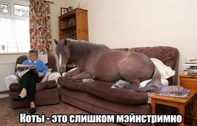 SljjHKlo7eo.jpg