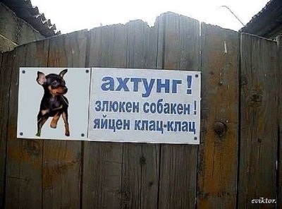 V8XOZotfLbI.jpg
