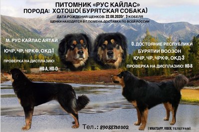 Реклама.jpg