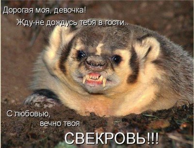 свекровь.jpg