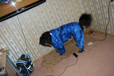 комбез3.jpg